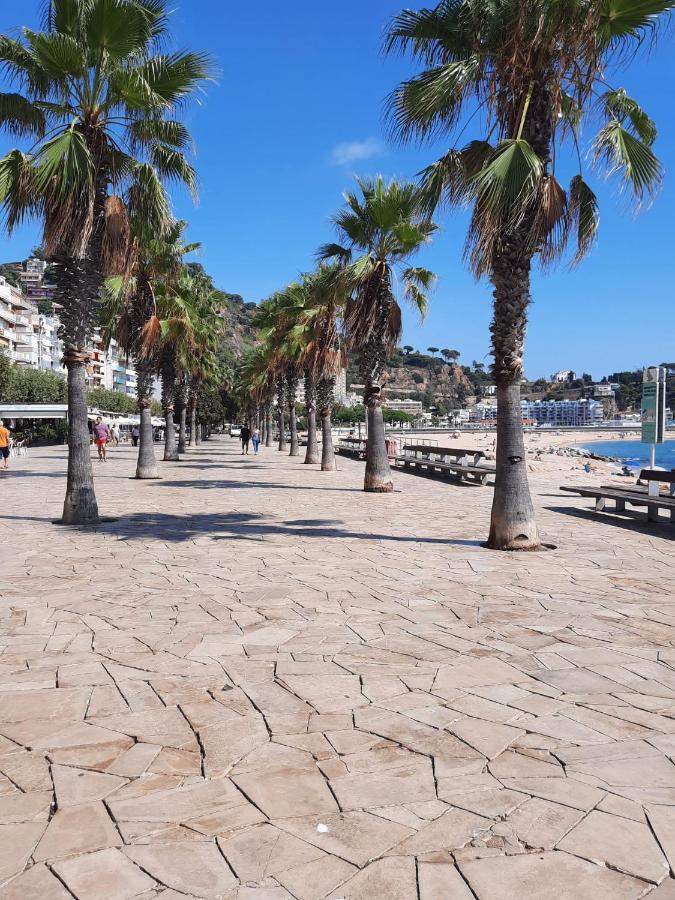 Habitacion Delante De La Playa Blanes Eksteriør billede